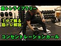 【１分で解る筋トレ解説】コンセントレーションカール【筋トレライブラリー】