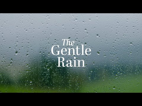 Martin Taylor and Alison Burns - THE GENTLE RAIN (Lyric Video)