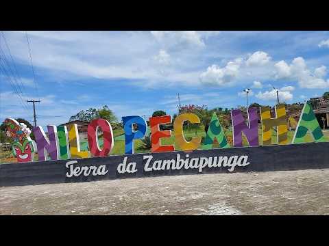 Nilo Peçanha Expedição Motor Casa Bahia