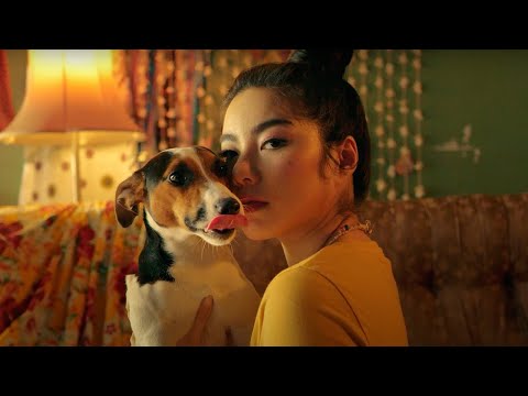 【 OFFICIAL TEASER 】 แล้วหลาว(ไอ้โบ้) - WONDERFRAME x YINWAR