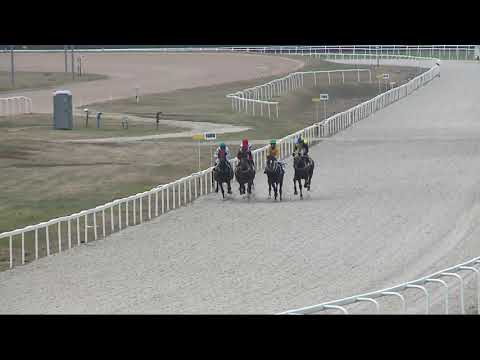 2021.11.07. 04. futam - BÁRÓ ORCZY LŐRINCZ EMLÉKVERSENY HENDIKEP (III.o.) (szintetikus pálya)