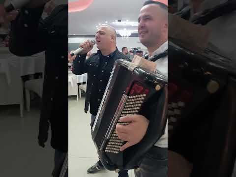 Dalibor Dzema Uzivo 2024 Pasjane