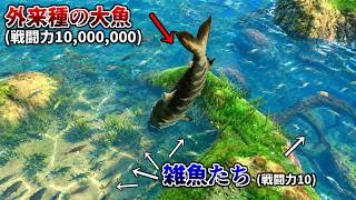 川に入りきらないデカさに育った大魚を雑魚1,000匹がかりで倒しに行くゲームが面白すぎるｗｗｗ【Feed and Grow Fish】実況プレイ