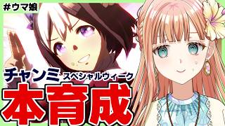【ウマ娘/チャンミ】差しスぺの可能性に賭ける！！【朝活🌅1280日目】