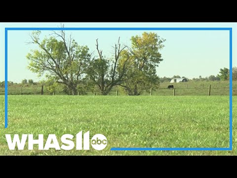 This Kentucky family farm sells ice cream year-round to save their farm and their cows