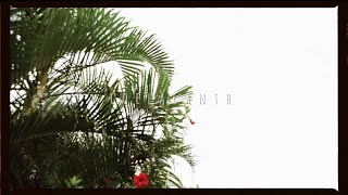 coelacanth/no-years【Short MUSIC VIDEO】