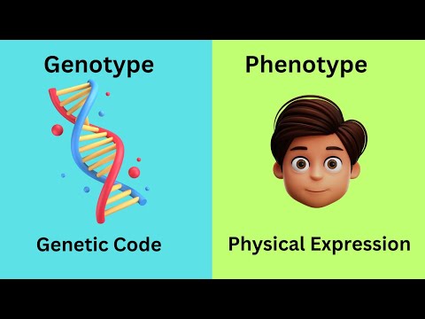 Genotype vs Phenotype