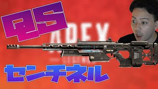 【ボドカ/切り抜き】QSセンチネルを魅せるボドカ【APEX】#Short