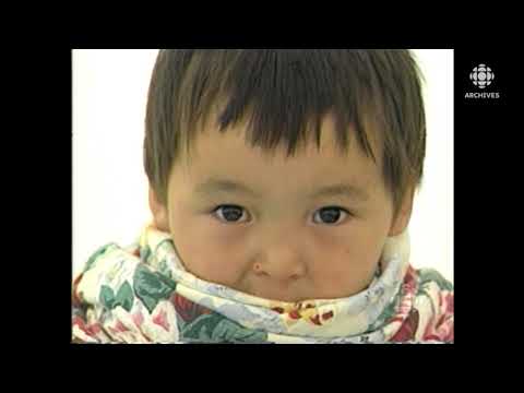 Savourer le meilleur poisson du monde dans la baie d’Ungava