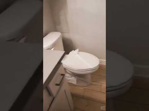 video-3