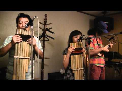 PHURU RUNAS  in tack