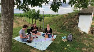 Dann bin ich zuhaus - Gregor Meyle Cover I Bauchgefühl I Live I Unplugged