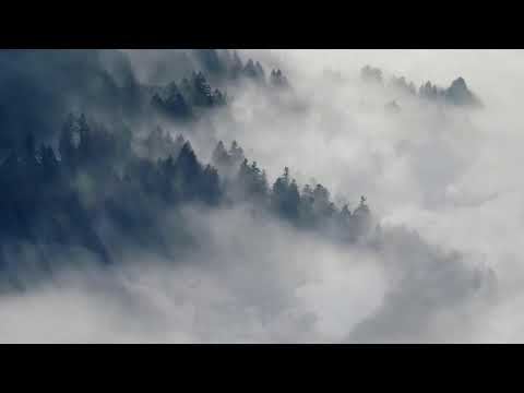 Thursday Night Prayer! Thursday, December 22, 2022!