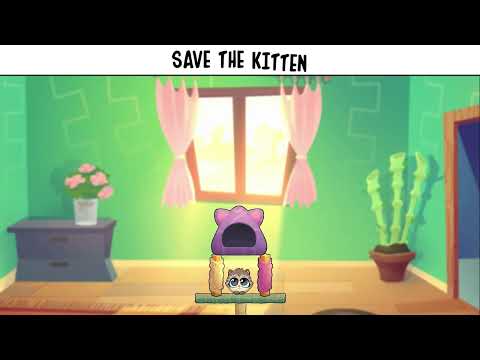 Cover Cat - Dry Paws