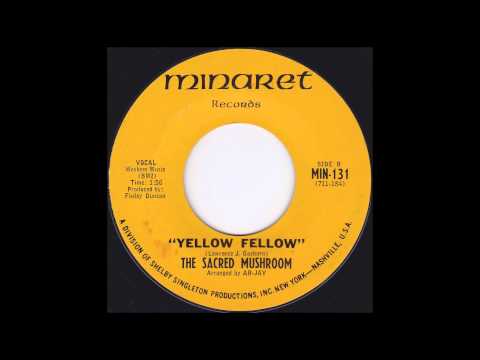 Video thumbnail for Yellow Fellow
