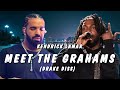 Kendrick Lamar Meet The Grahams Lyrics Drake Diss