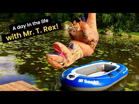 26 Times People Wore a T-Rex Costume doing Regular Activities