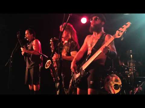 Downtown Brown with Wolf 1