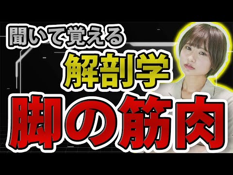 医学科 【聞いて覚える】下肢の筋肉、一緒に覚えよう!!解剖学の脚の筋肉について