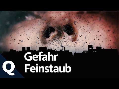 Bad air: Why fine dust is so dangerous | Quarks