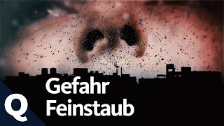 Quarks: Gefahr Feinstaub