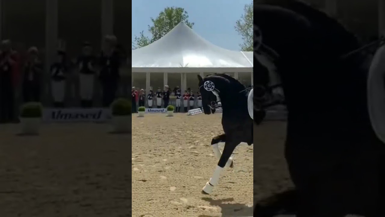 😅 #slickback #horse #fy #fyp