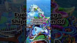 Cruise news for December 18th, 2025. Your 60 second report. #cruisenews #carnivalcruise  #portmiami