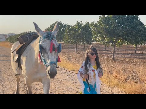 Chloe Delarosa - Mala Malita Mala