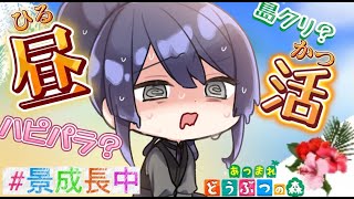 【あつまれどうぶつの森】遺跡か森かはたまたハピパラ？【長尾景/にじさんじ】