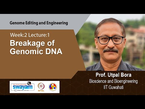 Genome Editing and Engineering Intro Video