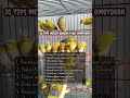 10 TIPS SAAT MEMILIH PLECI OMBYOKAN YAN BAGUS DAN PROSPEK Shorts Pleci Terapipleci Fyp