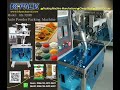 KK 320PB Plus Back Side Seal Vertical Screw Type Automatic Powder Packing Machine