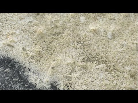 Salts From Wood Ash
