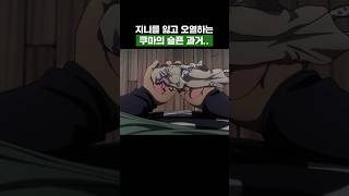 원피스) 지니를 잃고 오열하는 쿠마의 슬픈 과거