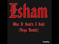 Esham - Was It Sum'n I Said(Vincent Vega Remix)