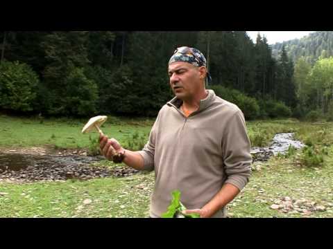 Natură şi aventură - Mâncările naturii