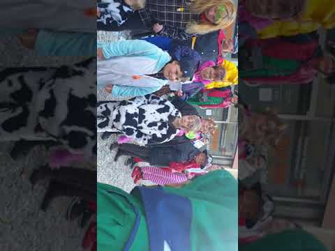 Rauhried Weibla Ersingen Meßkirch 2019