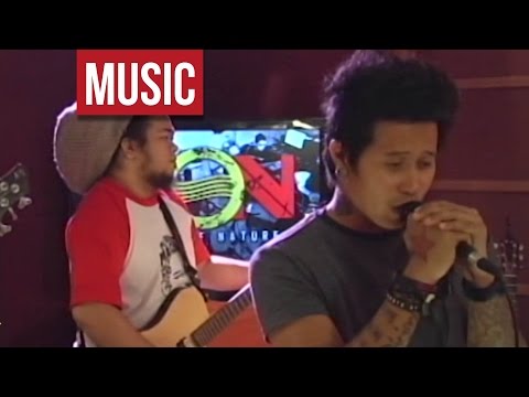 Roots of Nature - "Stop Killin Me" Live!