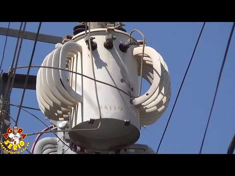 Veja no SBT - Criminosos assaltam caixa eletrônico em Juquitiba