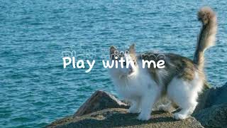 Download lagu Play with me - Pagaehun & KKANBYEONGZ (Speed up) mp3