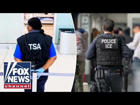 ‘Totally naive’ to think ICE isn’t trained for airport support: Jason Chaffetz