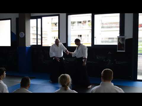 Sensei Paul Derrick, Athens 2018 - Blending, raising and cutting exercise