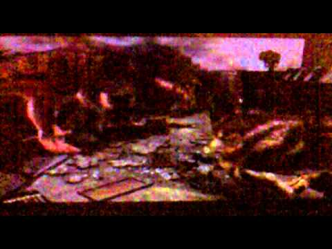 t-rex vs gigantosaurio