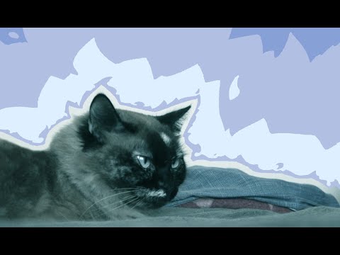 MAYLO, LATERAL - NI TRAGO NI VERDE 💅🏽