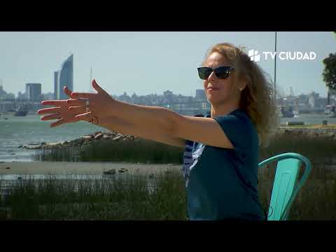 En movimiento Programa 1