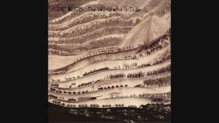 The Songs of Investment Capital Overseas