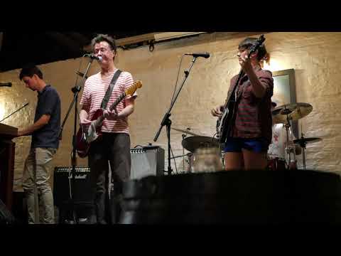 The Pits, Spilt Milk, live, Next Door Bar, Franklin, 2.3.2019