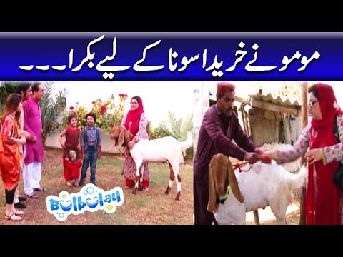 Momo Ne Khareeda Sona Ke Liye Bakra - Mehmood Sahab | Bulbulay