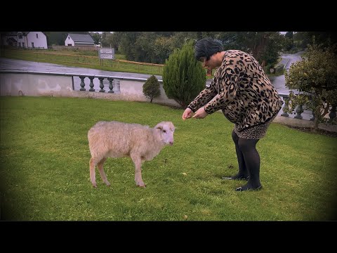 Majella Deadpan in Lockdown - Tour Dates and Tickets On Sale ➡️ www.SorryForYourLoss.co.uk