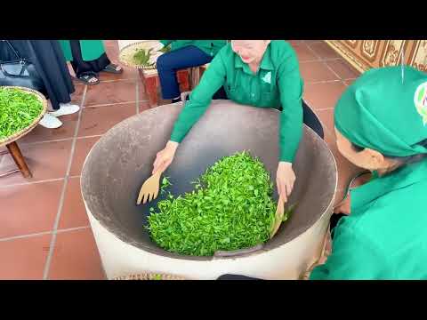 Video nổi bật Festival Trà